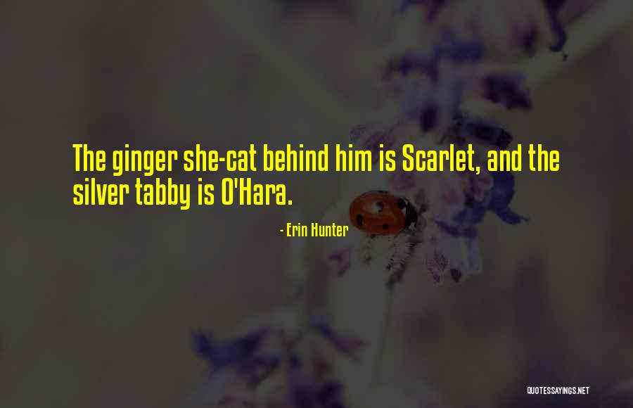 Erin Silver Quotes By Erin Hunter Erin Silver Quotes By Erin Hunter