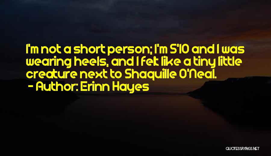 Erinn Hayes Quotes 2195812