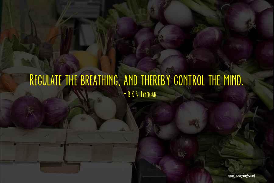 Erkenntnisquellen Quotes By B.K.S. Iyengar Erkenntnisquellen Quotes By B.K.S. Iyengar