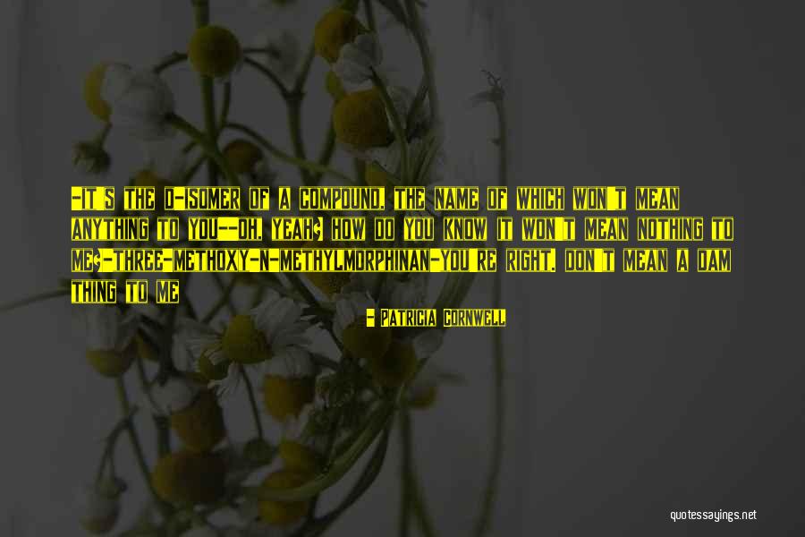 Erkent Otomotiv Quotes By Patricia Cornwell Erkent Otomotiv Quotes By Patricia Cornwell