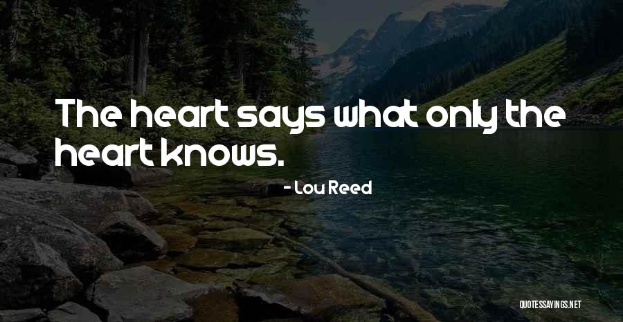 Erlandsson Ensayo Quotes By Lou Reed Erlandsson Ensayo Quotes By Lou Reed