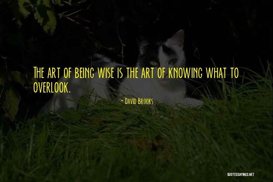 Erlynne Quotes By David Brooks