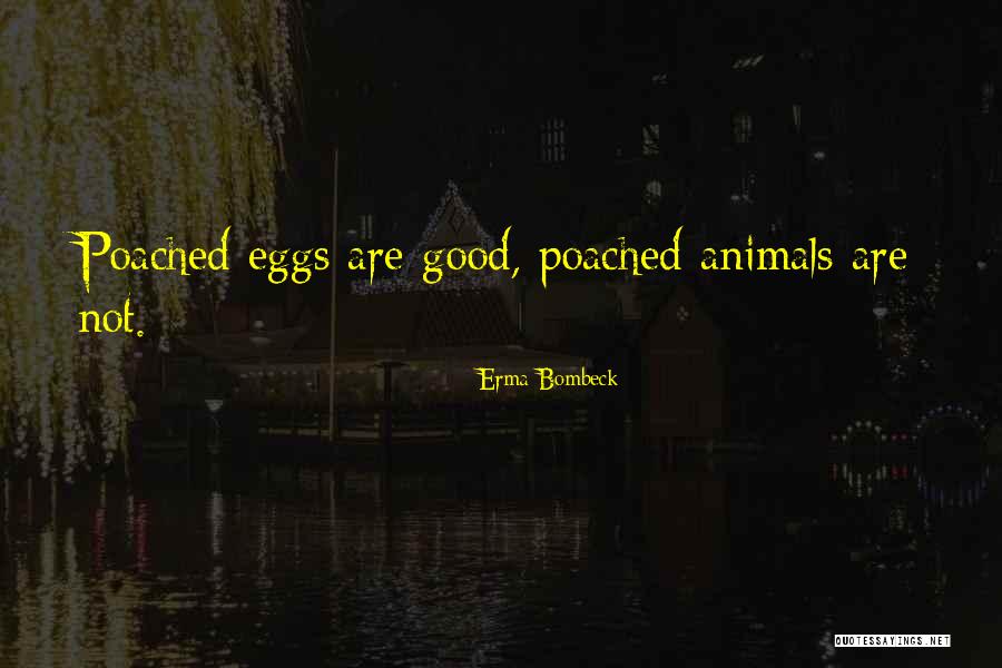 Erma Bombeck Quotes 1410912