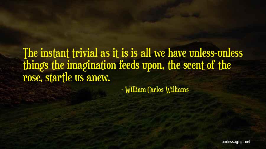 Erminio Woodworking Quotes By William Carlos Williams Erminio Woodworking Quotes By William Carlos Williams