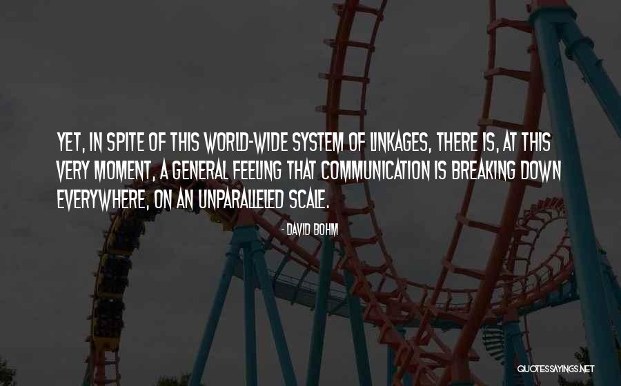 Ermita O Quotes By David Bohm Ermita O Quotes By David Bohm
