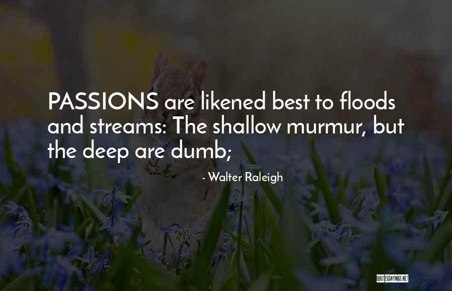 Ermotti Quotes By Walter Raleigh Ermotti Quotes By Walter Raleigh