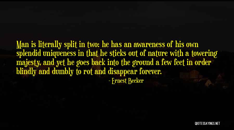 Ernest Becker Quotes 136837