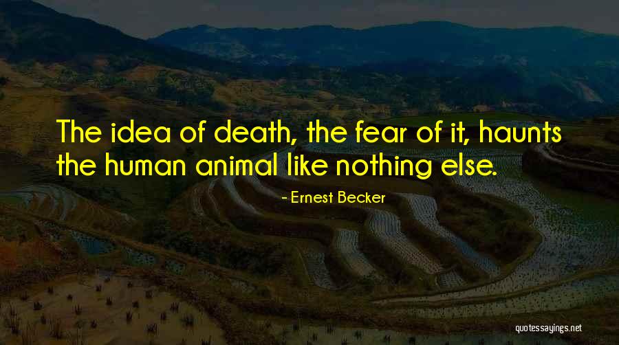 Ernest Becker Quotes 495591