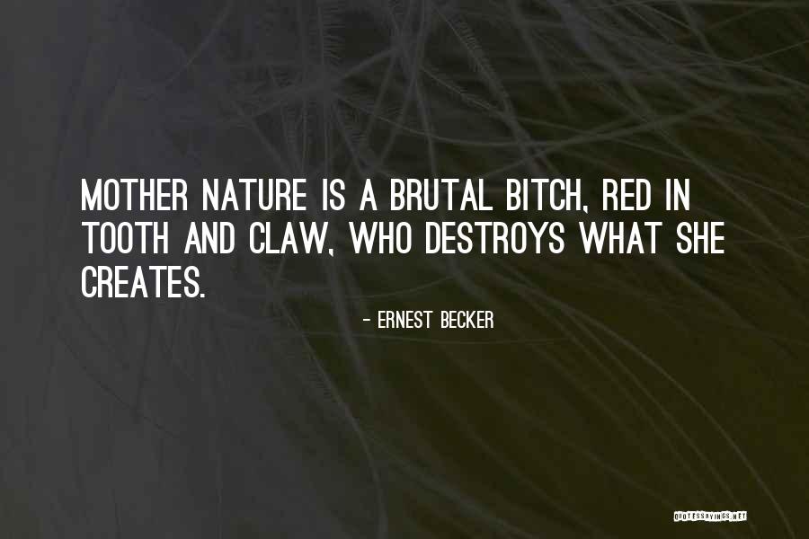 Ernest Becker Quotes 783616