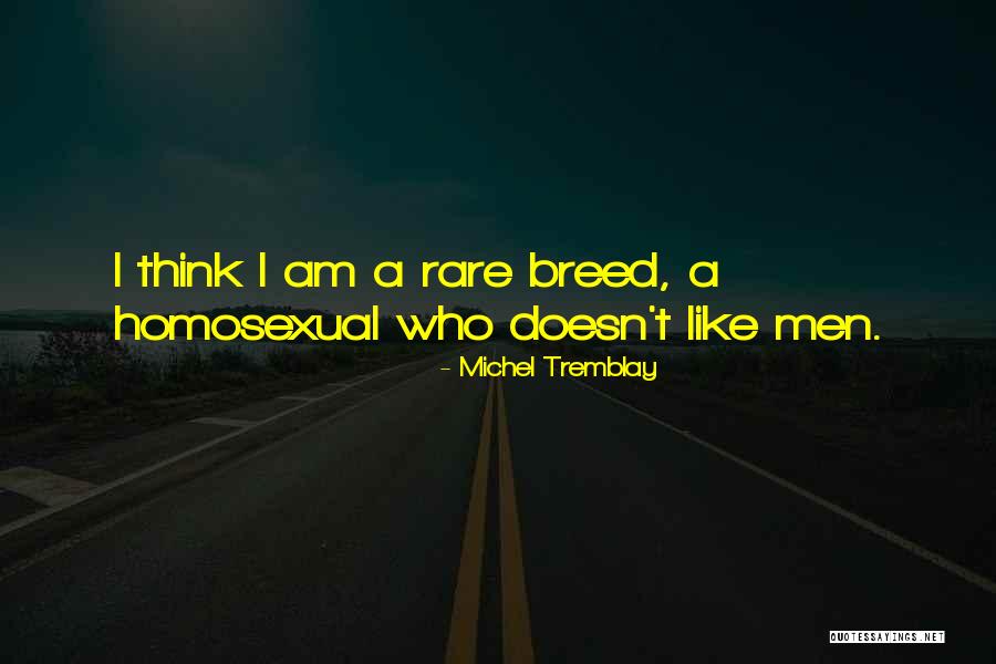 Ernest Hem Quotes By Michel Tremblay Ernest Hem Quotes By Michel Tremblay