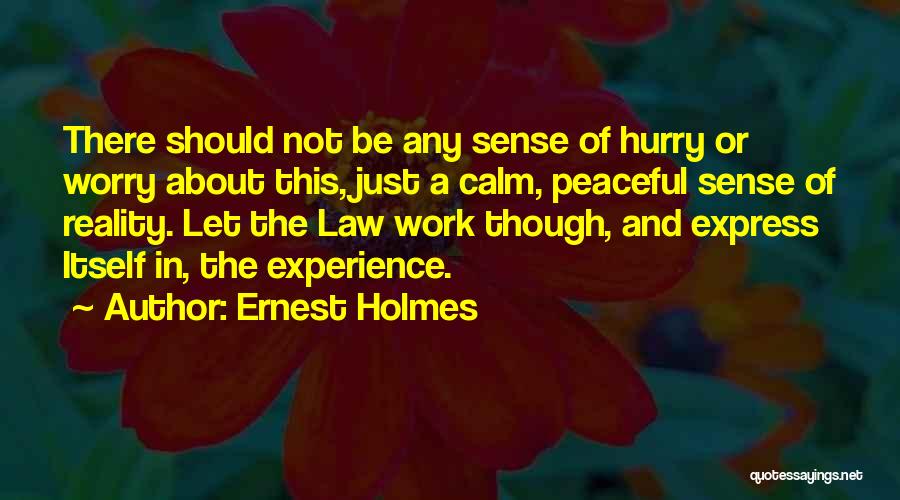Ernest Holmes Quotes 1024501