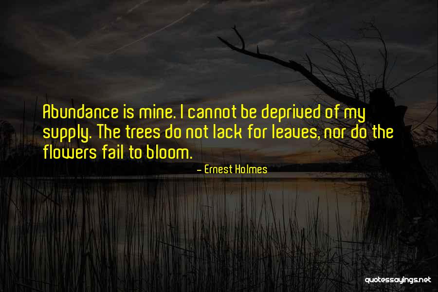 Ernest Holmes Quotes 266829