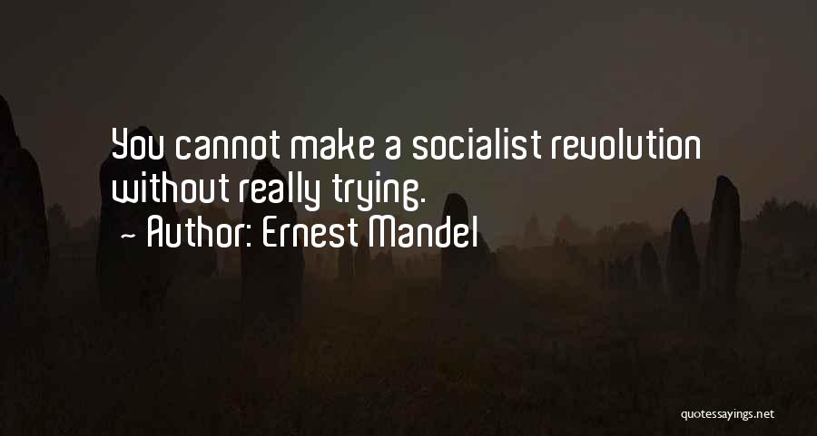 Ernest Mandel Quotes 1813482