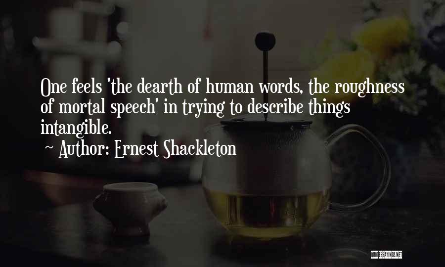 Ernest Shackleton Quotes 1561511