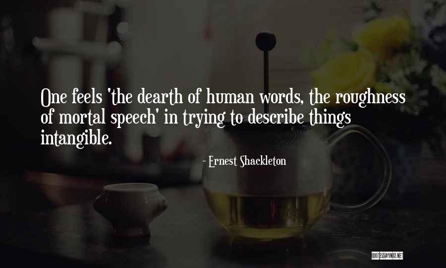 Ernest Shackleton Quotes 1561511 Ernest Shackleton Quotes 1561511
