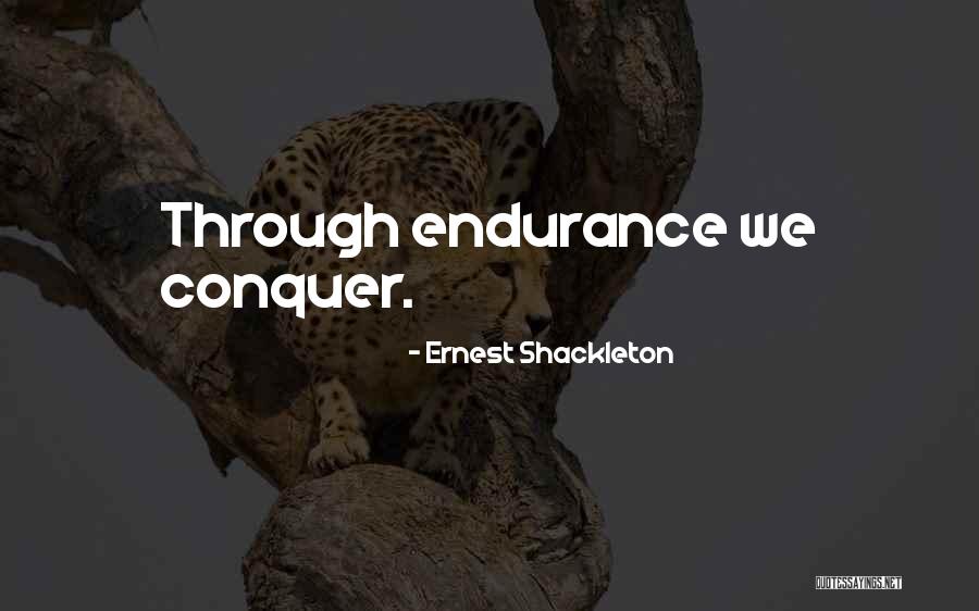 Ernest Shackleton Quotes 1972107 Ernest Shackleton Quotes 1972107