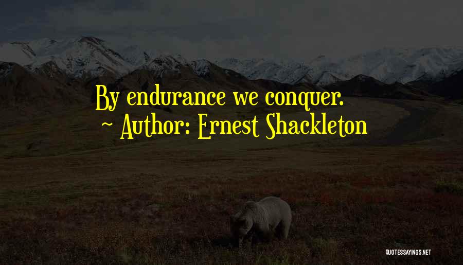Ernest Shackleton Quotes 400376