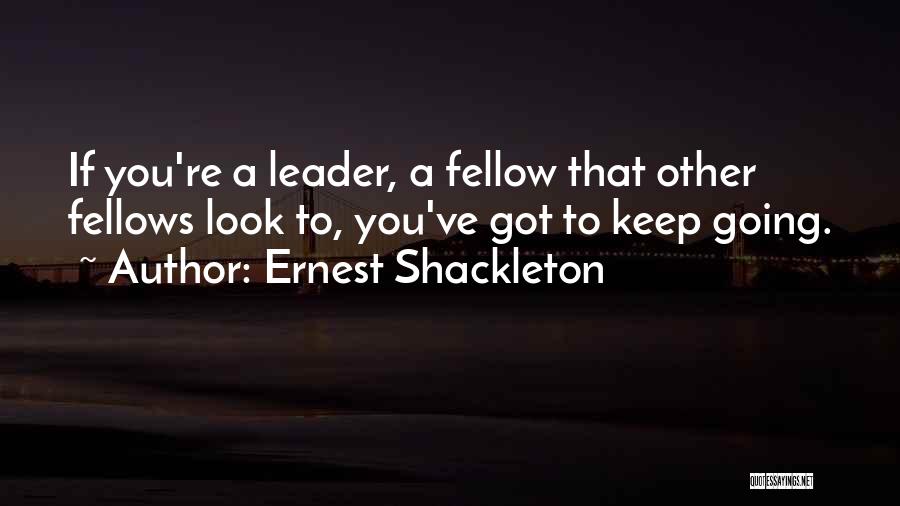 Ernest Shackleton Quotes 822333