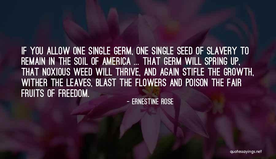 Ernestine Quotes By Ernestine Rose Ernestine Quotes By Ernestine Rose