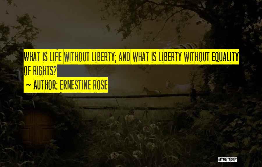 Ernestine Rose Quotes 1937432