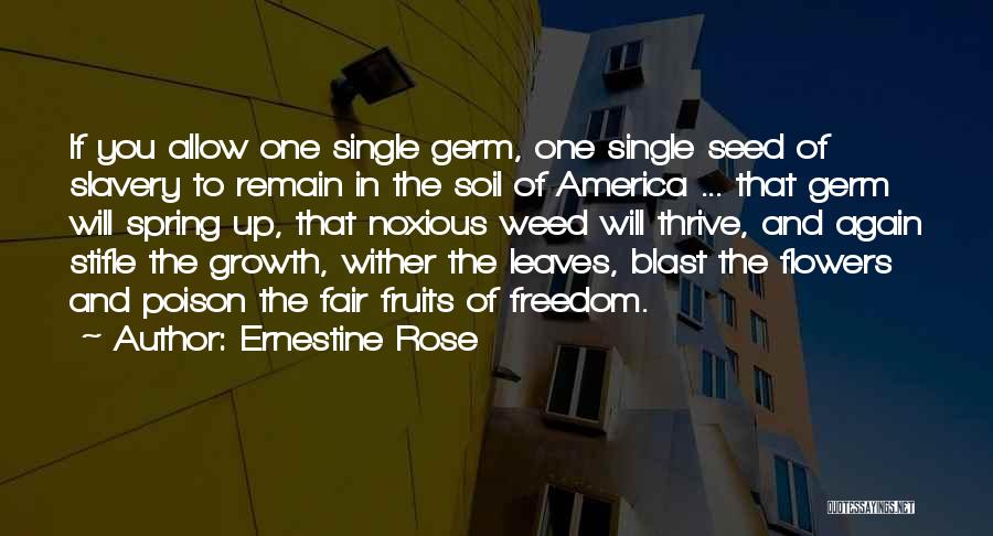 Ernestine Rose Quotes 2189169