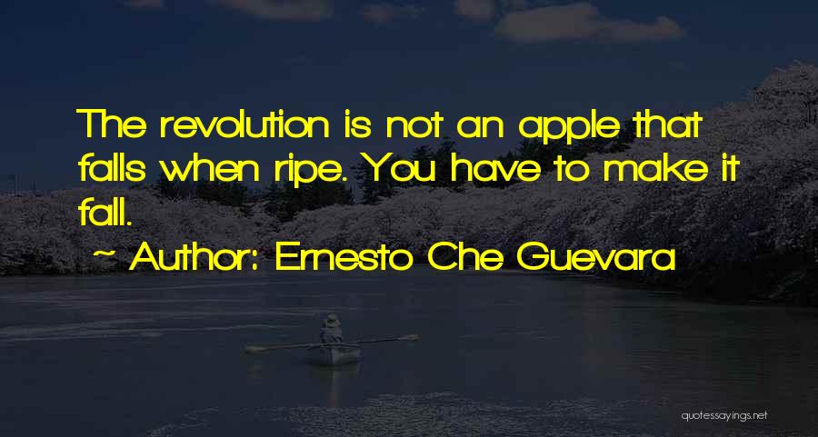 Ernesto Che Guevara Quotes 2241408