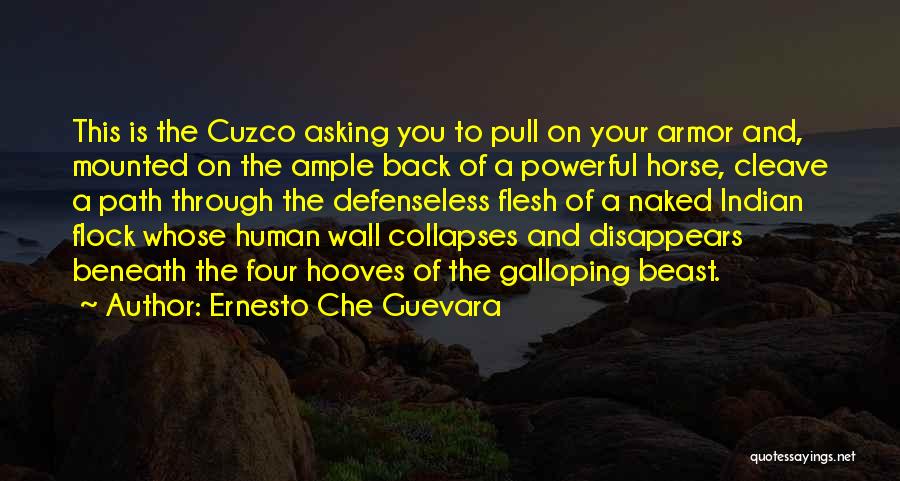 Ernesto Che Guevara Quotes 713590