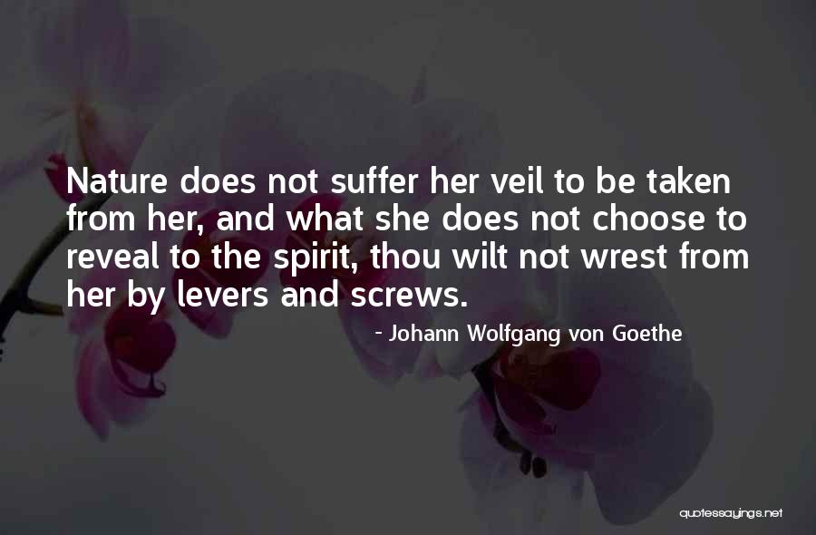 Ernesto Laclau Quotes By Johann Wolfgang Von Goethe Ernesto Laclau Quotes By Johann Wolfgang Von Goethe