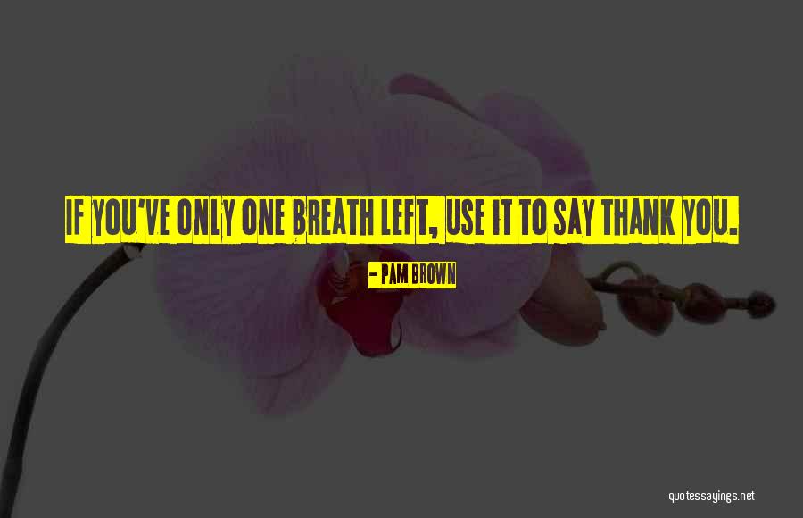 Ernestos Anthony Quotes By Pam Brown Ernestos Anthony Quotes By Pam Brown