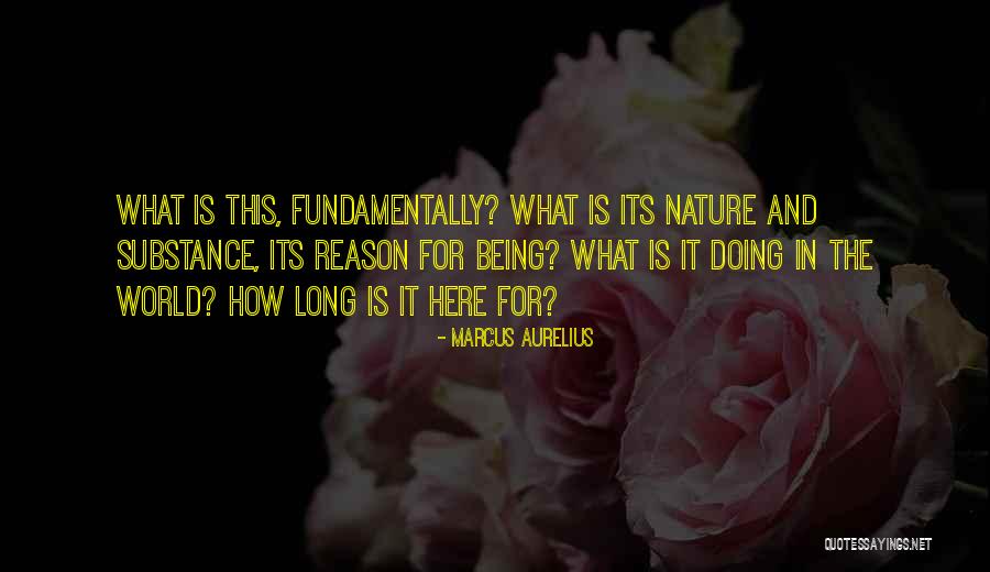 Ernice Winzer Quotes By Marcus Aurelius Ernice Winzer Quotes By Marcus Aurelius