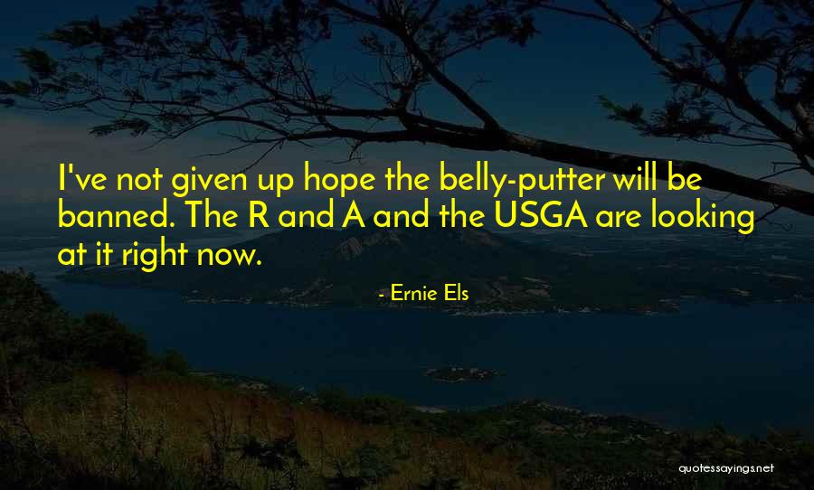 Ernie Els Quotes 1078874 Ernie Els Quotes 1078874