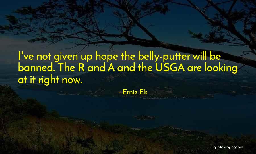 Ernie Els Quotes 1078874