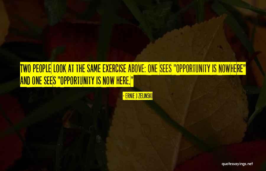 Ernie J Zelinski Quotes 203169 Ernie J Zelinski Quotes 203169