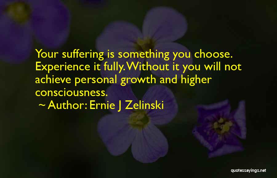 Ernie J Zelinski Quotes 772643