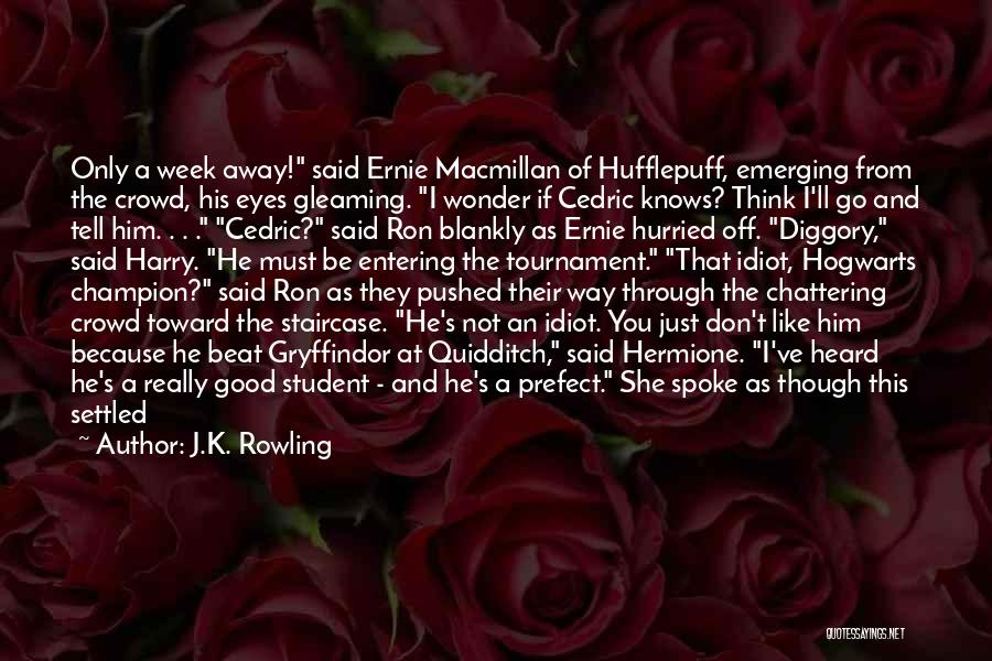 Ernie Macmillan Quotes By J.K. Rowling