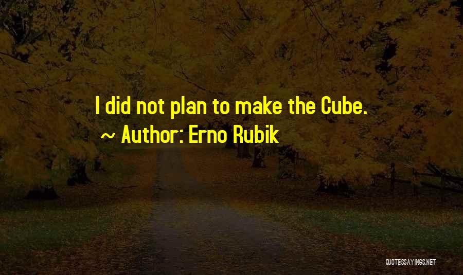 Erno Rubik Quotes 1102574