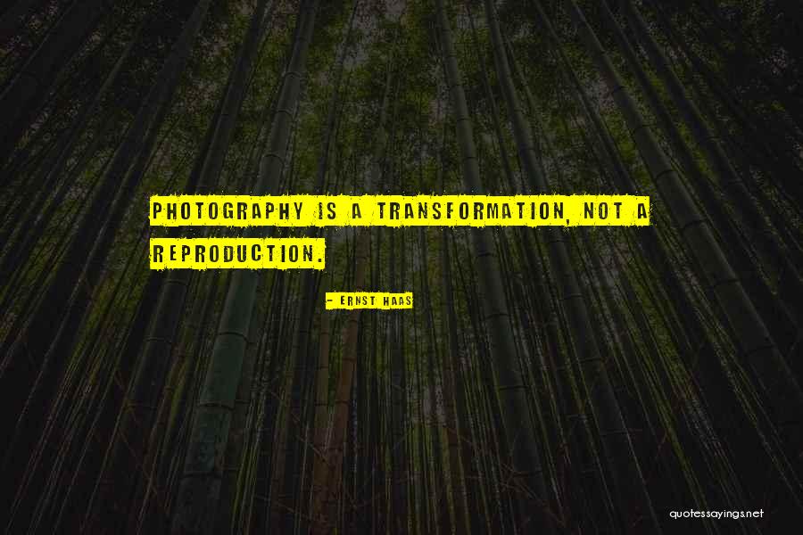 Ernst And Haas Quotes By Ernst Haas Ernst And Haas Quotes By Ernst Haas