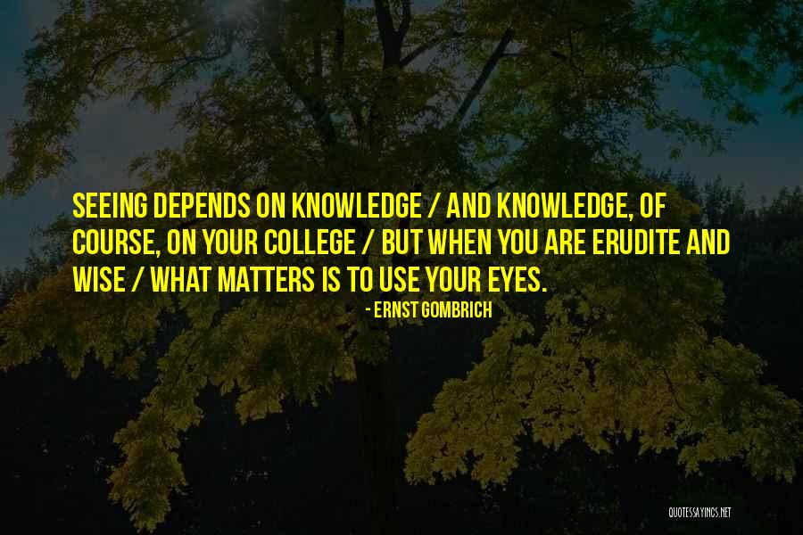 Ernst Gombrich Quotes 233655 Ernst Gombrich Quotes 233655