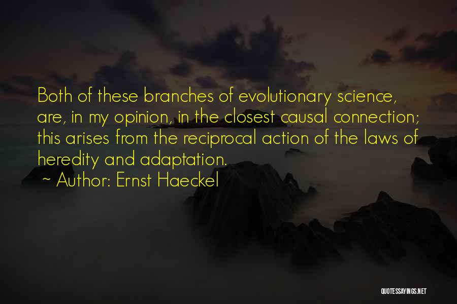 Ernst Haeckel Quotes 503490