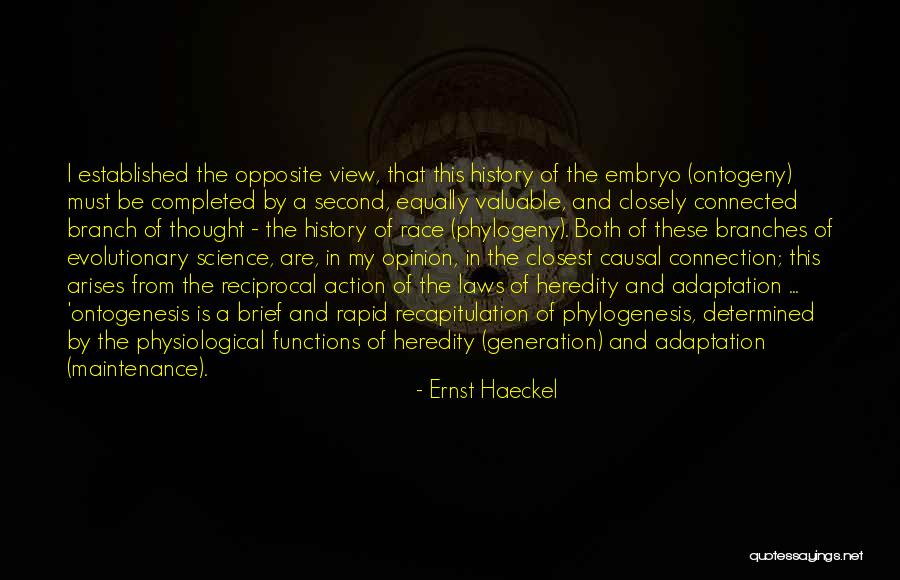 Ernst Haeckel Quotes 973110