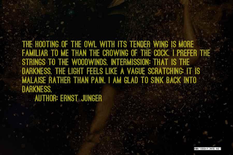 Ernst Junger Quotes 1580287