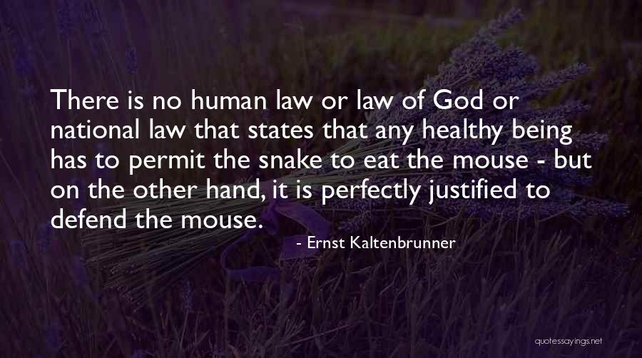 Ernst Kaltenbrunner Quotes 2248788