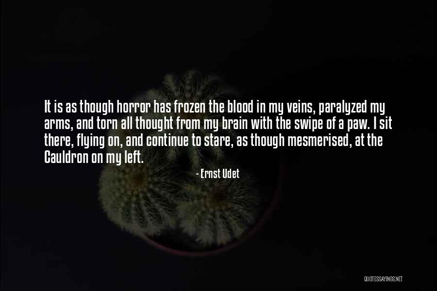 Ernst Udet Quotes 1972922 Ernst Udet Quotes 1972922