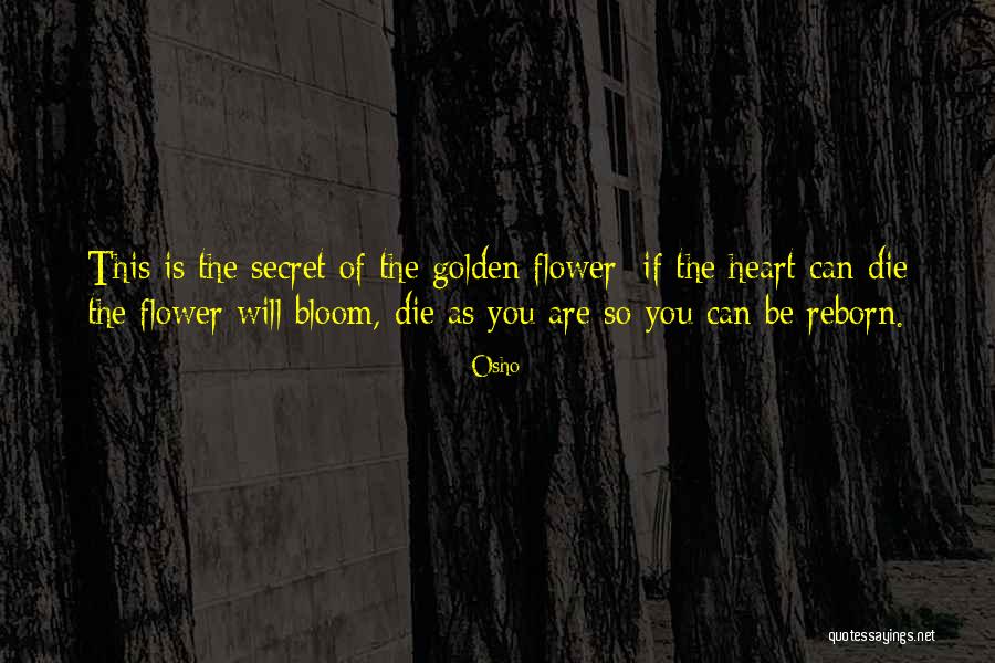 Eroottinen Filmi Quotes By Osho Eroottinen Filmi Quotes By Osho