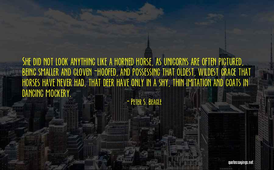 Eroottinen Meemi Quotes By Peter S. Beagle Eroottinen Meemi Quotes By Peter S. Beagle