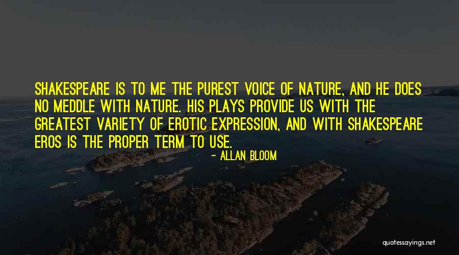 Eros Love Quotes By Allan Bloom