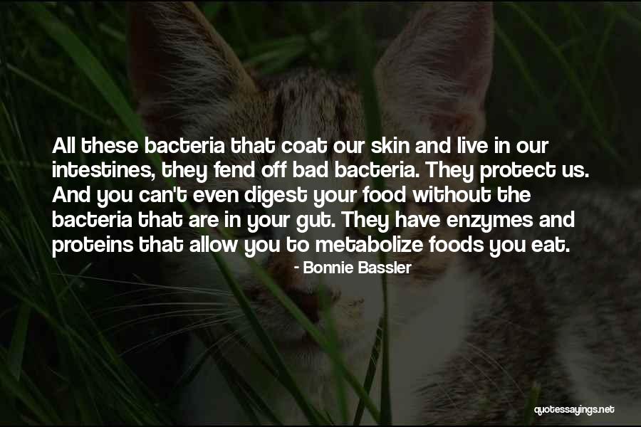 Erosion By Water Quotes By Bonnie Bassler Erosion By Water Quotes By Bonnie Bassler
