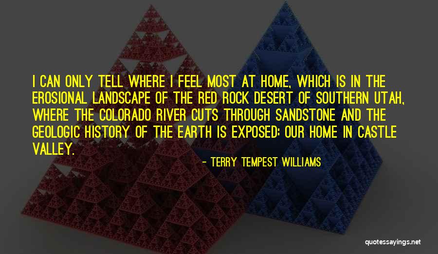 Erosional Quotes By Terry Tempest Williams Erosional Quotes By Terry Tempest Williams