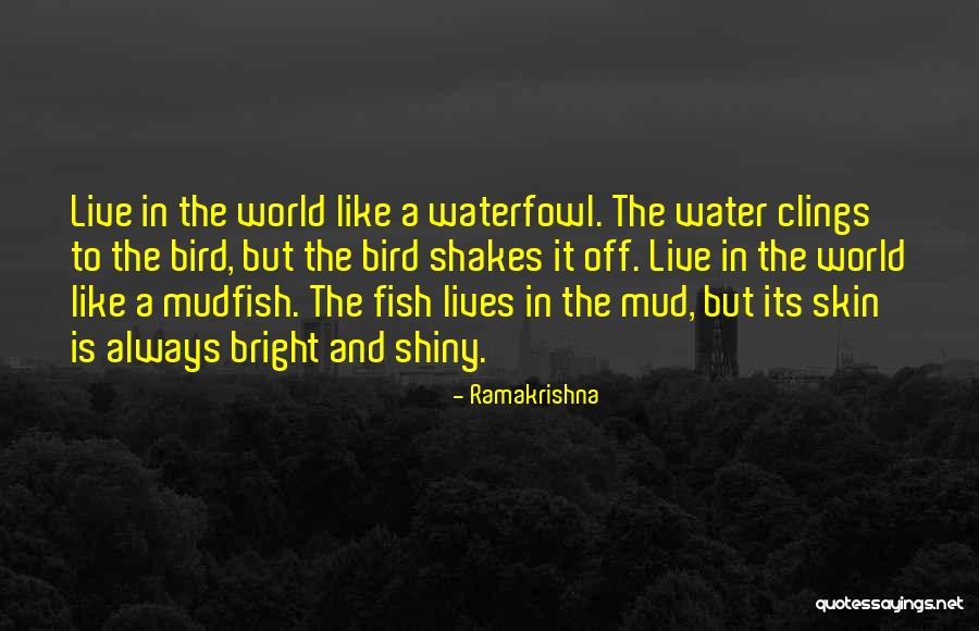 Erotic Sci Fi Fantasy Quotes By Ramakrishna Erotic Sci Fi Fantasy Quotes By Ramakrishna