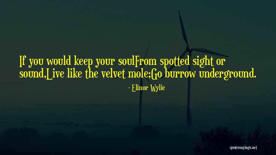 Erotyczne Wpadki Quotes By Elinor Wylie Erotyczne Wpadki Quotes By Elinor Wylie